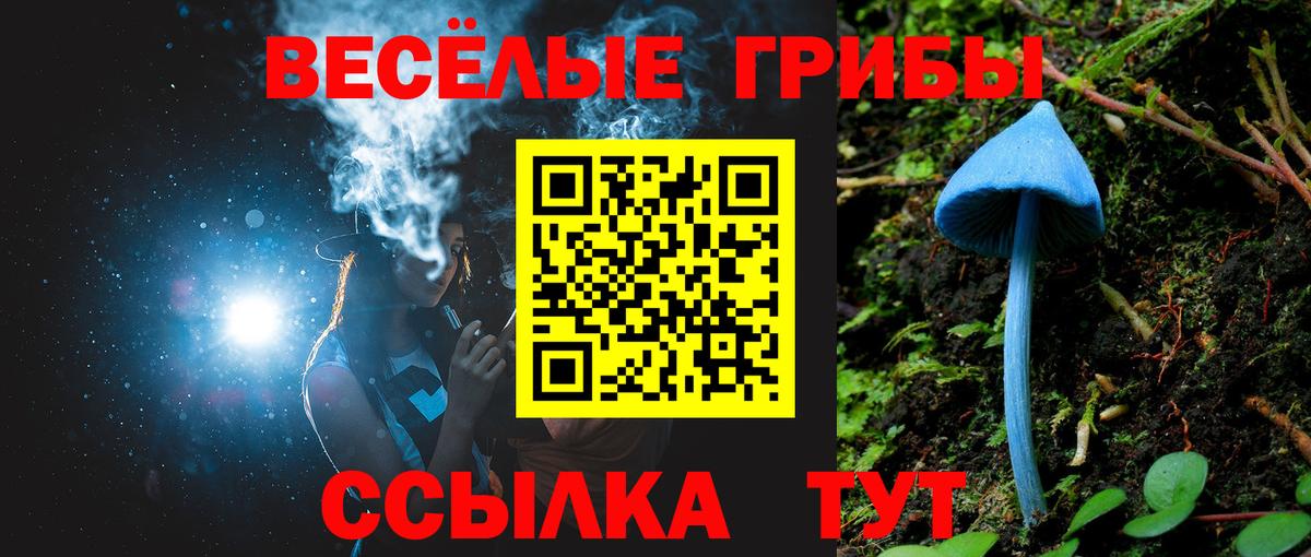 Галлюциногенные грибы Psilocybe Мелеуз