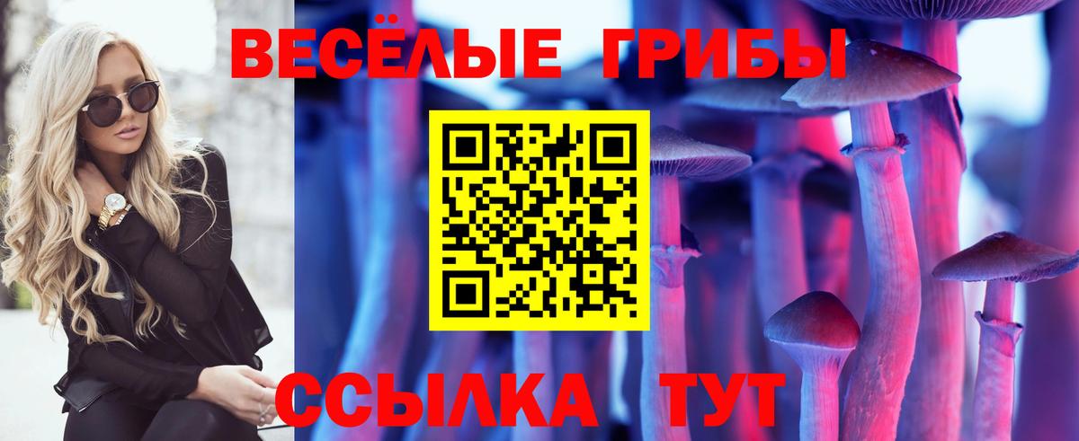 Галлюциногенные грибы мицелий  хочу наркоту  Мелеуз  Вход с VPN 